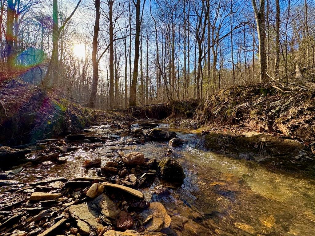 9-5 Bethany Road Jasper, GA 30143 - Photo 12 of 16