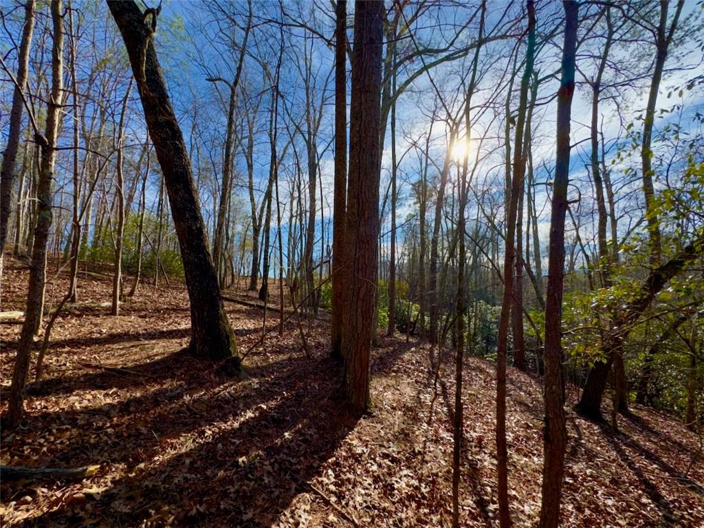 9-5 Bethany Road Jasper, GA 30143 - Photo 15 of 16