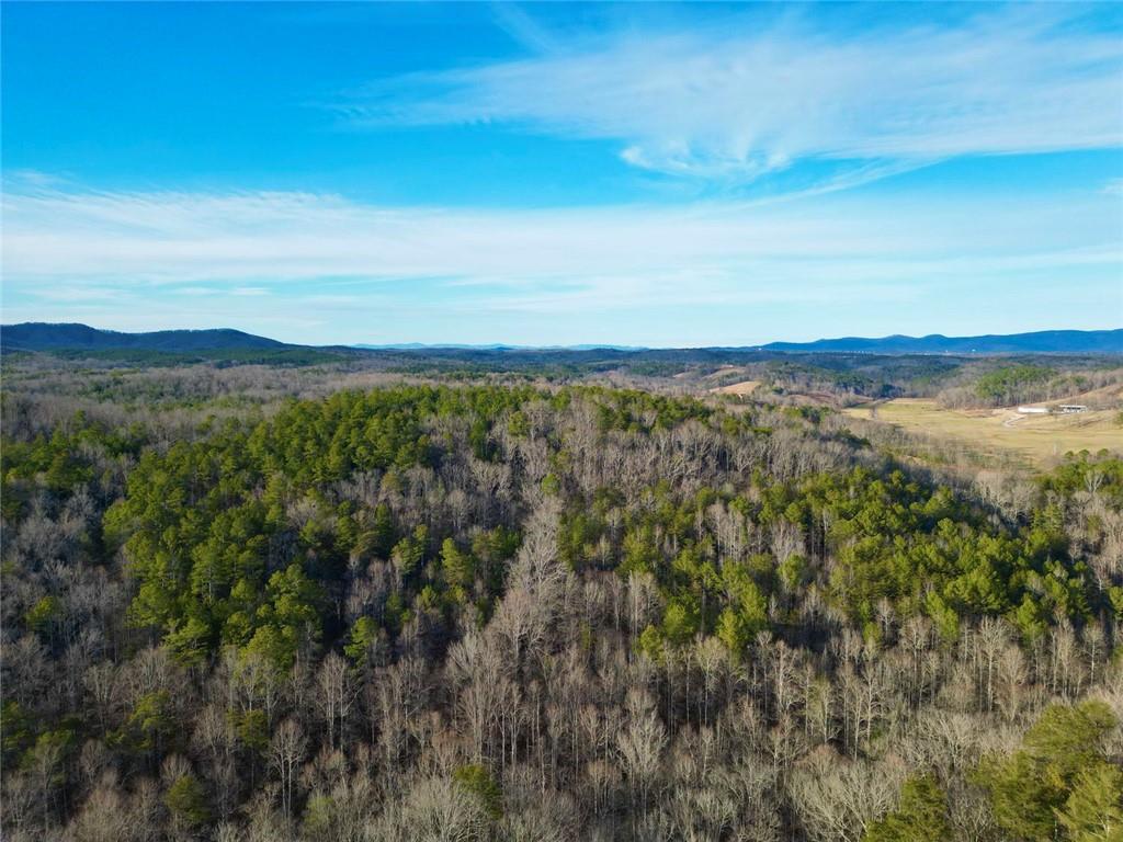 9-5 Bethany Road Jasper, GA 30143 - Photo 16 of 16