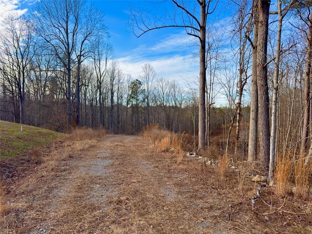 9-5 Bethany Road Jasper, GA 30143 - Photo 2 of 16