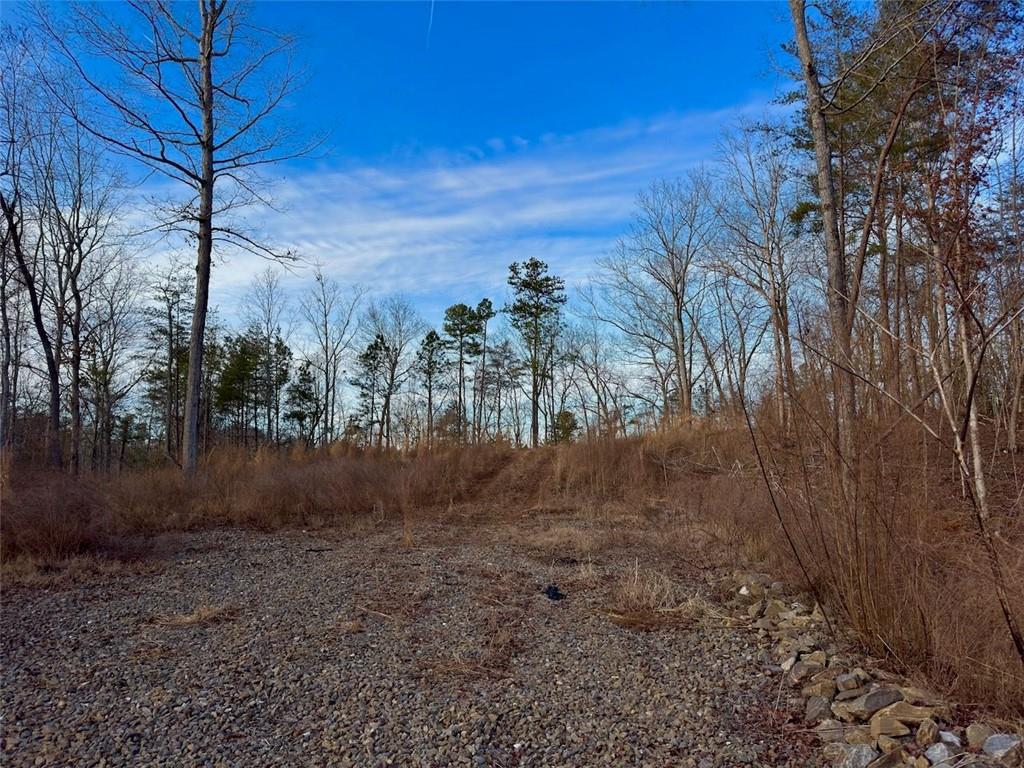 9-5 Bethany Road Jasper, GA 30143 - Photo 3 of 16