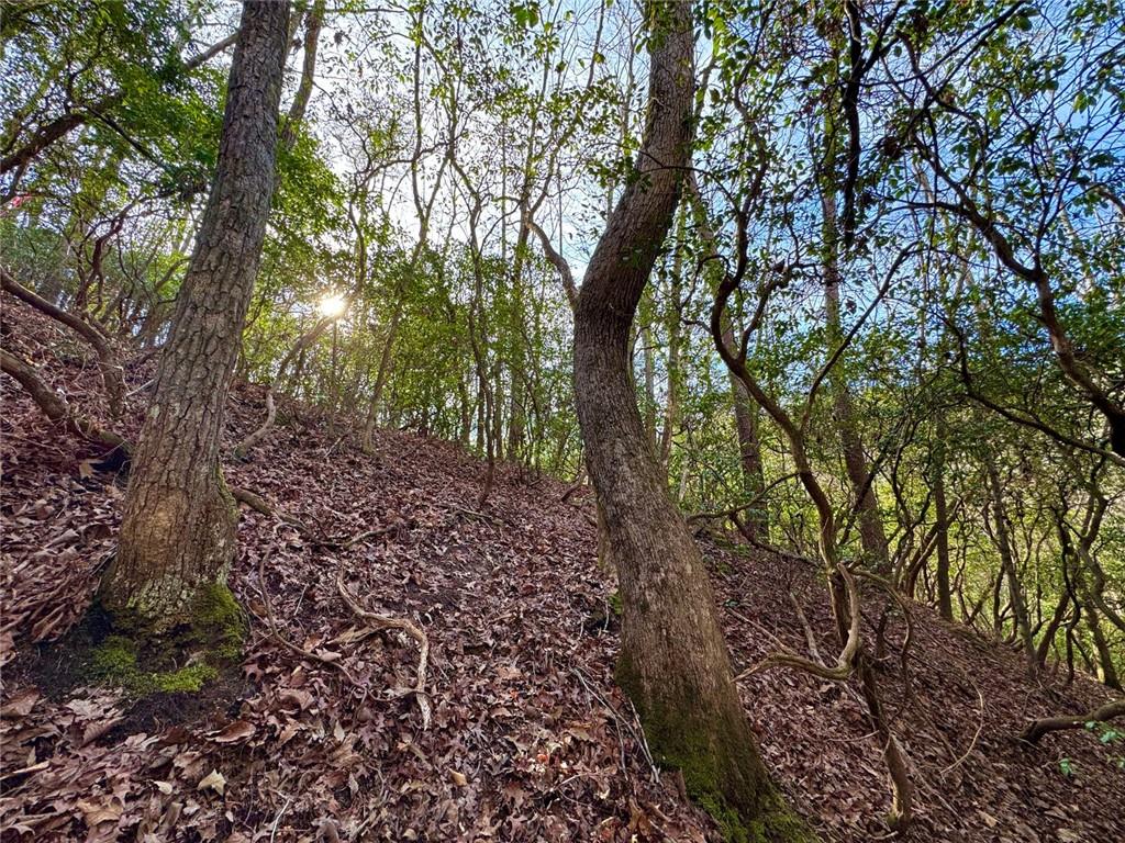 9-5 Bethany Road Jasper, GA 30143 - Photo 6 of 16