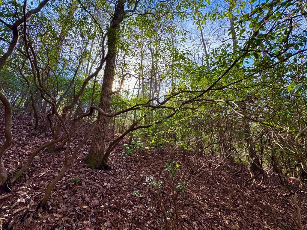 9-5 Bethany Road Jasper, GA 30143 - Photo 7 of 16