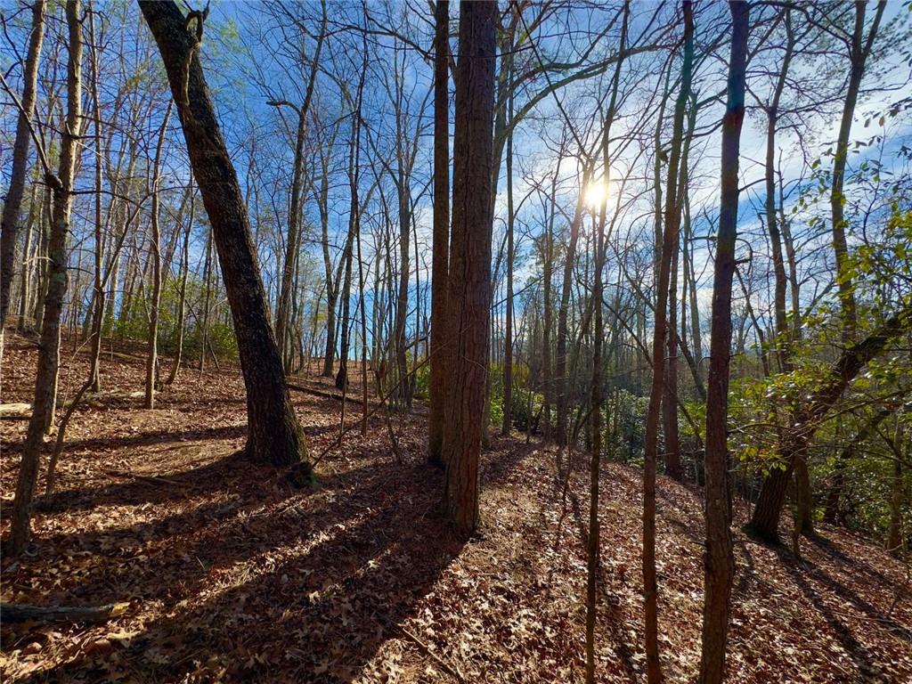 9-5 Bethany Road Jasper, GA 30143 - Photo 8 of 16