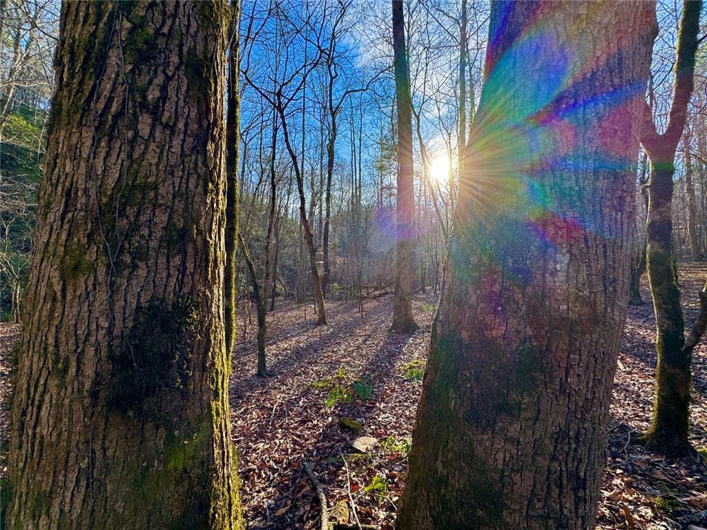 9-5 Bethany Road Jasper, GA 30143 - Photo 9 of 16