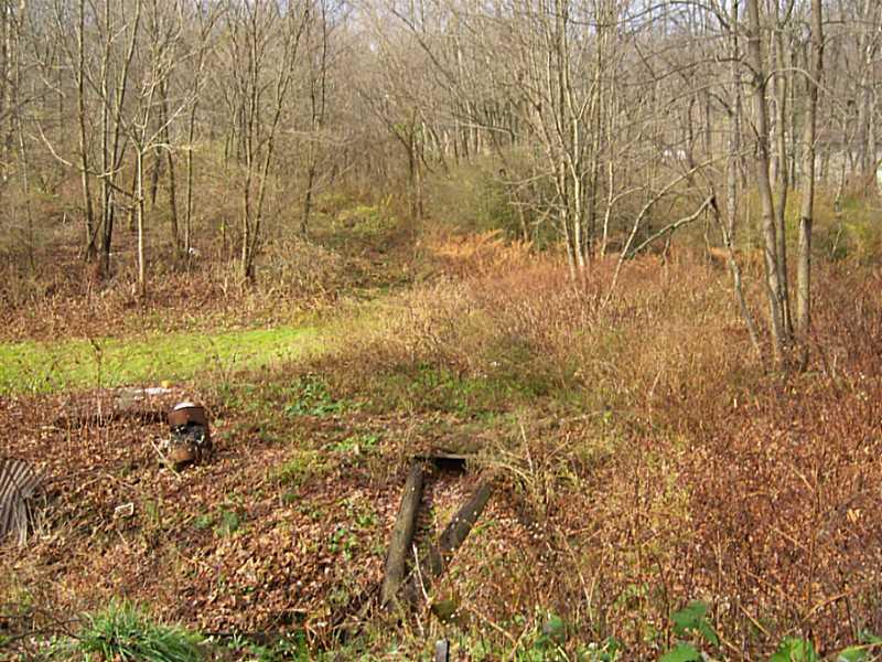 201 Pine Run Road Freedom, PA 15042 - Photo 15 of 16 Land/Lot.