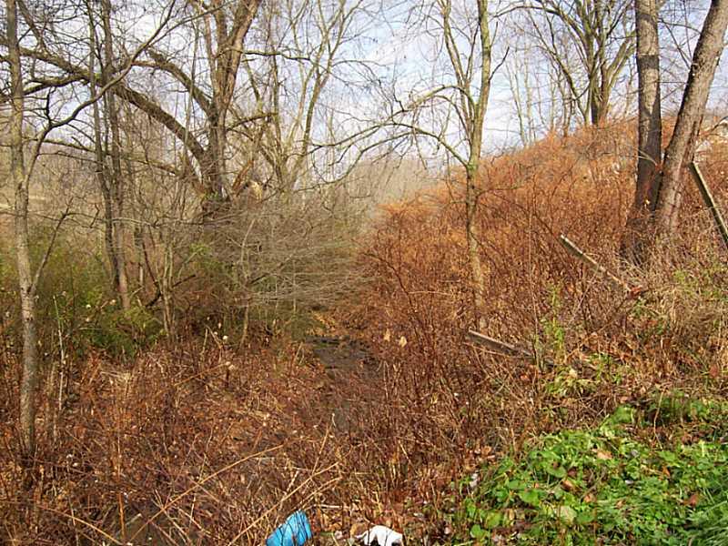 201 Pine Run Road Freedom, PA 15042 - Photo 16 of 16 Land/Lot.