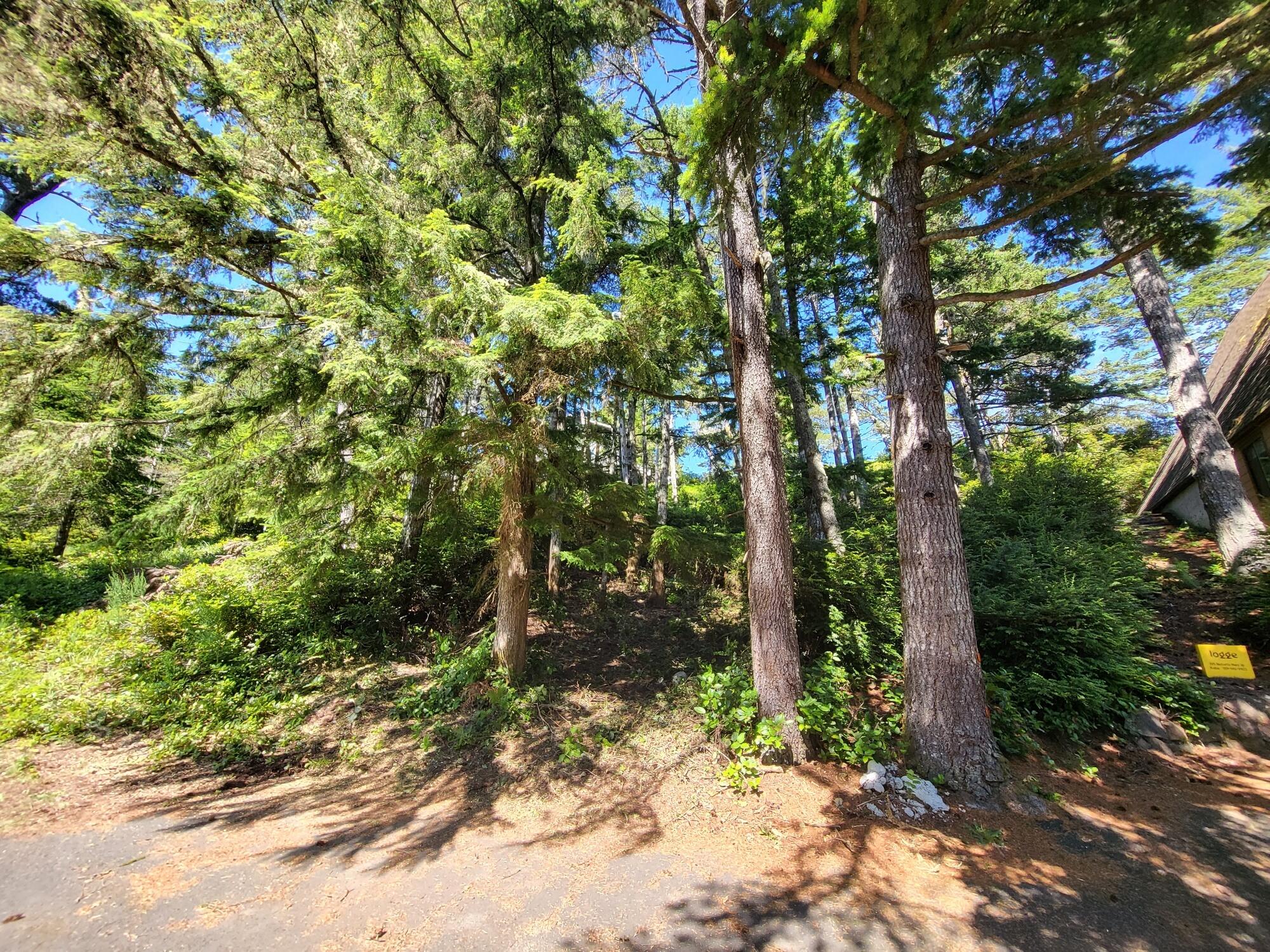 Lot 1 Netarts Street Tillamook, OR 97141 - Photo 2 of 14 Netarts Rd 3