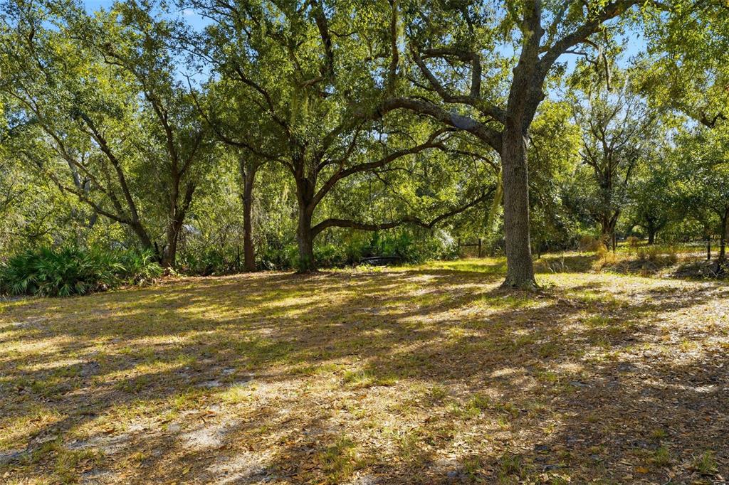 7283 Southwest Environmental Lab Street Arcadia, FL 34266 - Photo 38 of 52