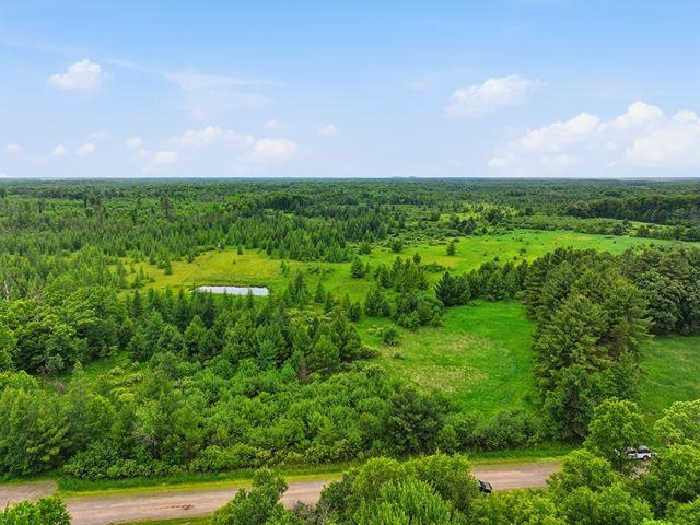 0 Holst Road Pittsville, WI 54466 - Photo 3 of 18