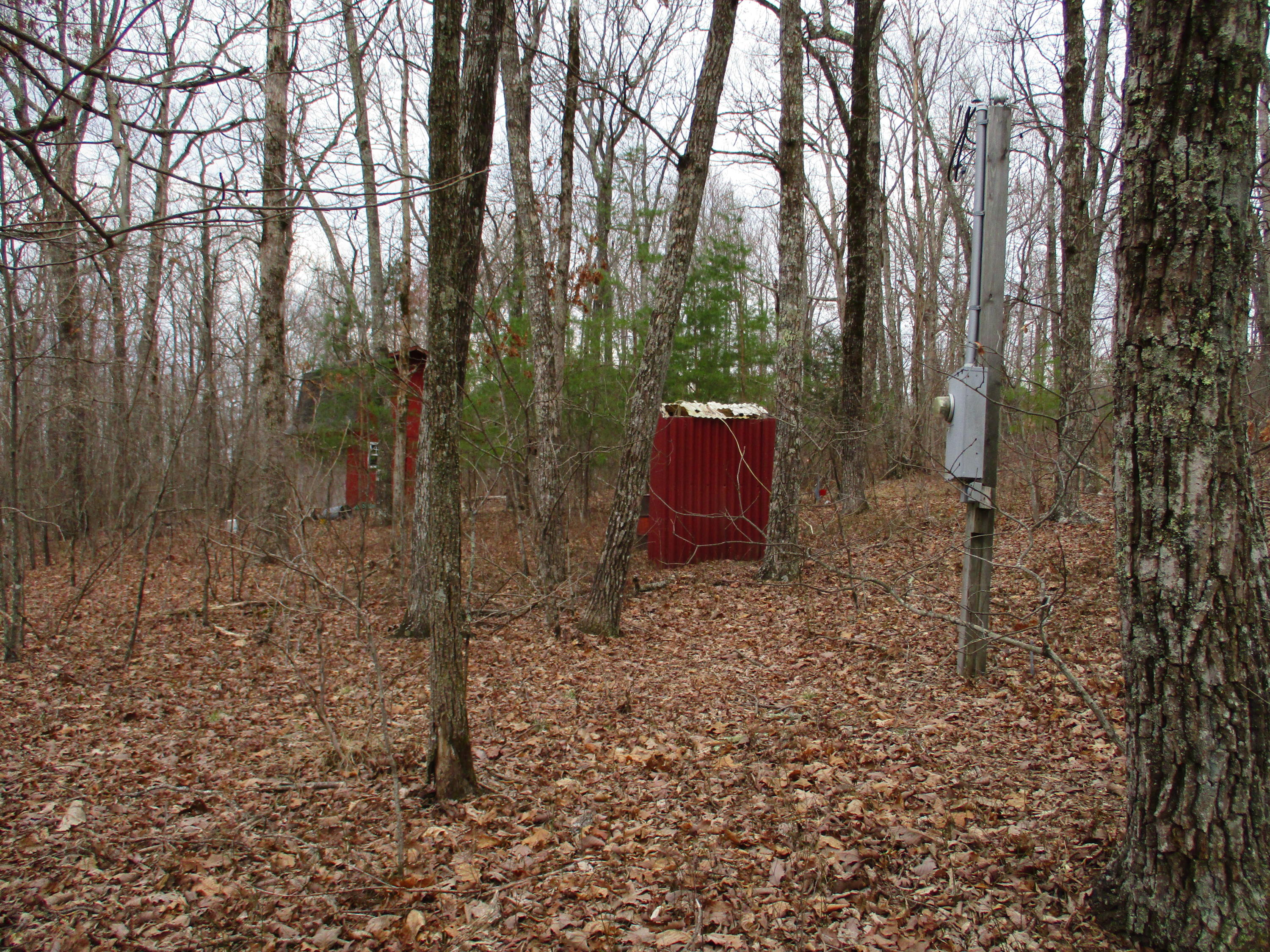 954 Big Ridge Road, Unit 3C Spring City, TN 37381 - Photo 39 of 48 IMG_0624