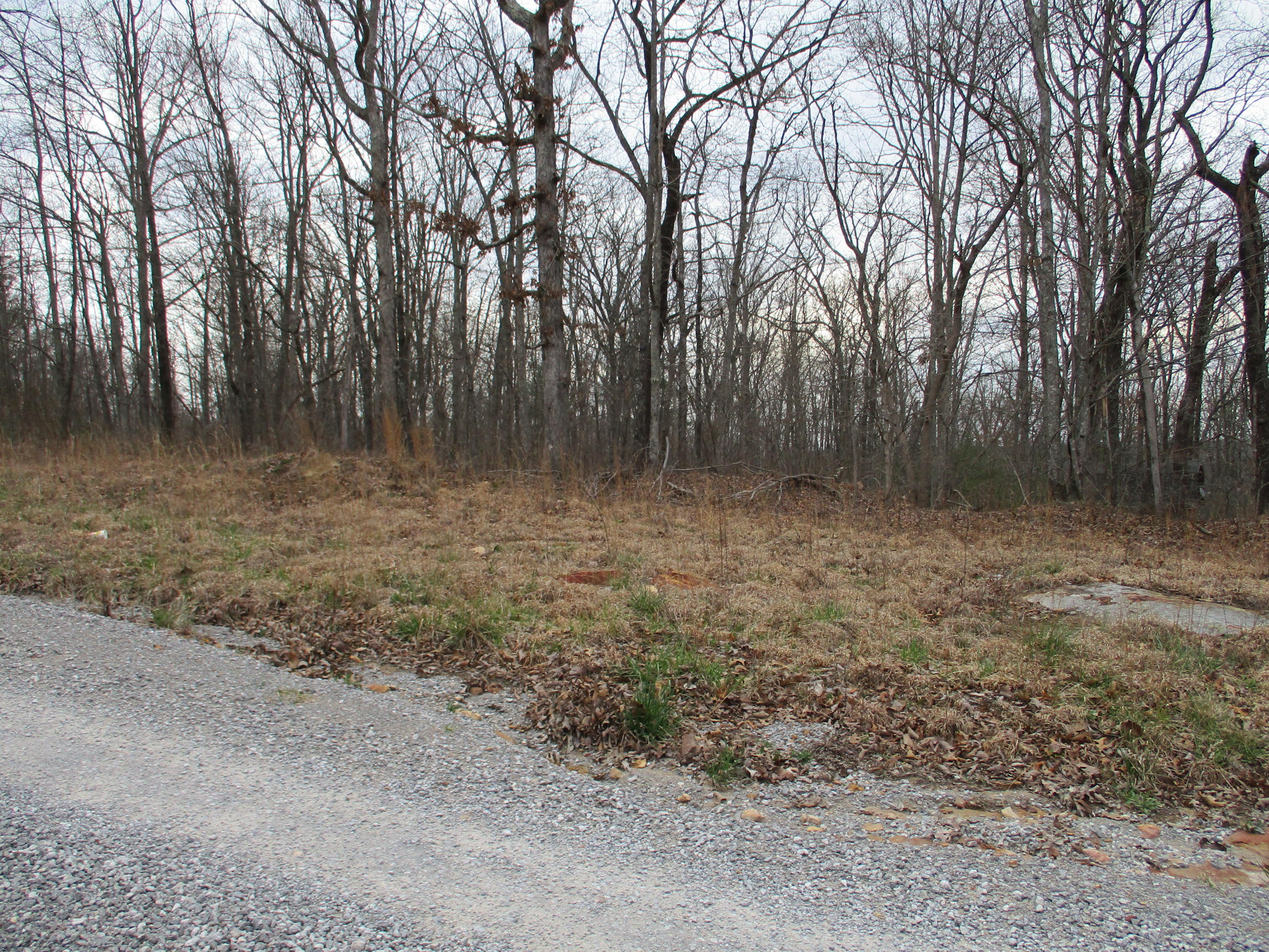 954 Big Ridge Road, Unit 3C Spring City, TN 37381 - Photo 46 of 48 IMG_0632