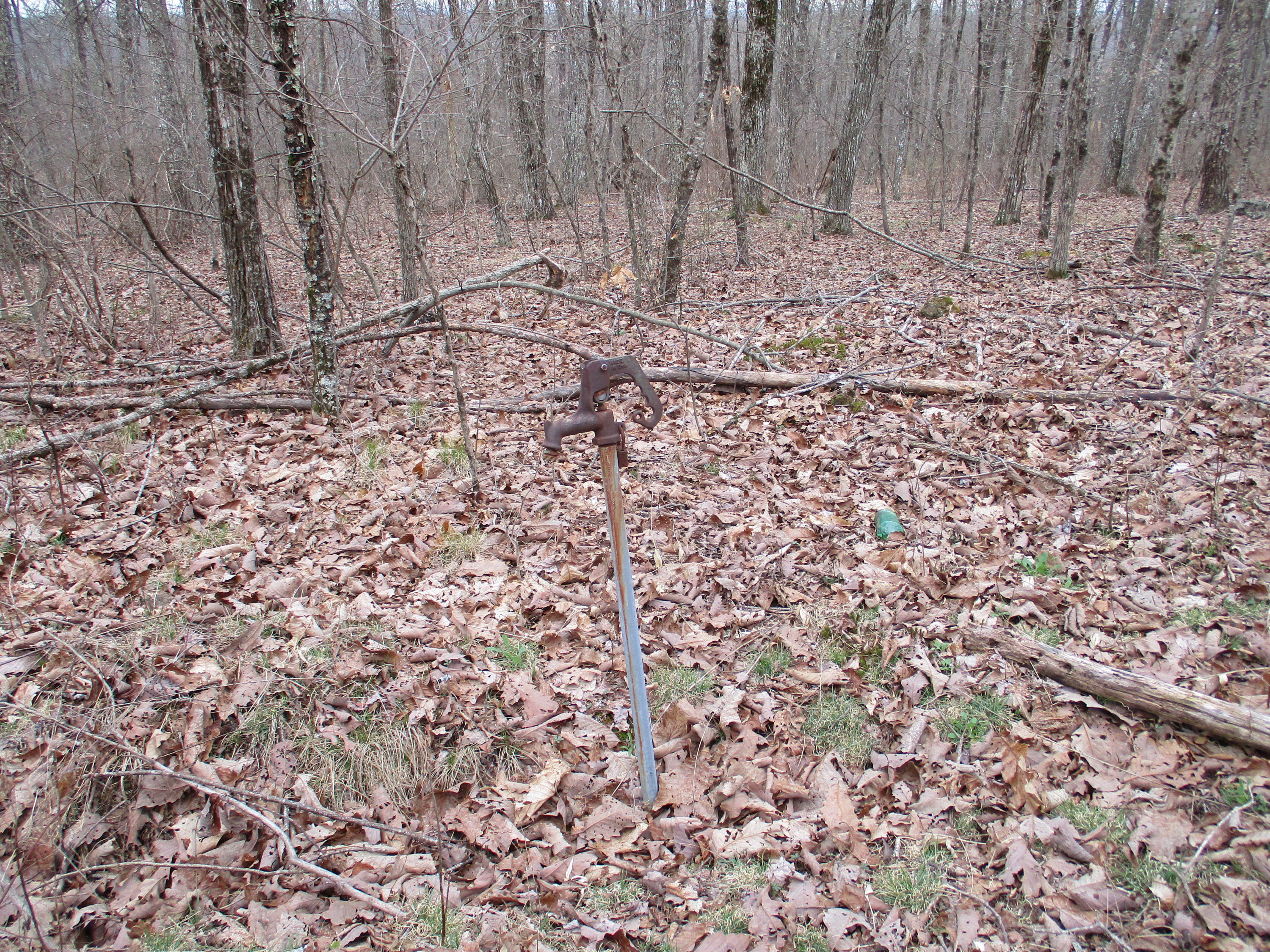 954 Big Ridge Road, Unit 3C Spring City, TN 37381 - Photo 7 of 48 IMG_0592