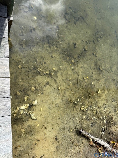 193 Deep Water Lane Reedville, VA 22539 - Photo 19 of 34 Oysters