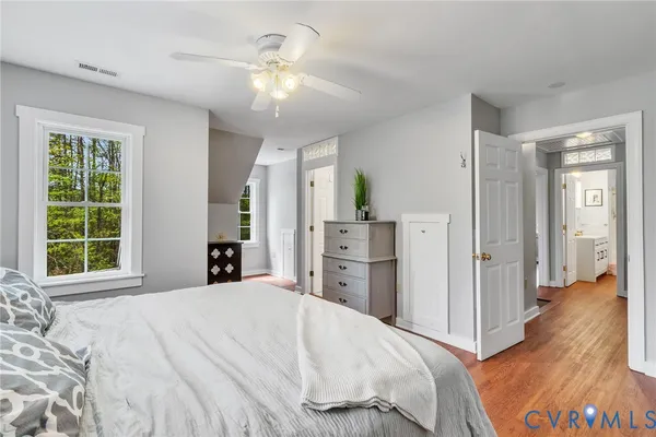 a view of ocean and trees