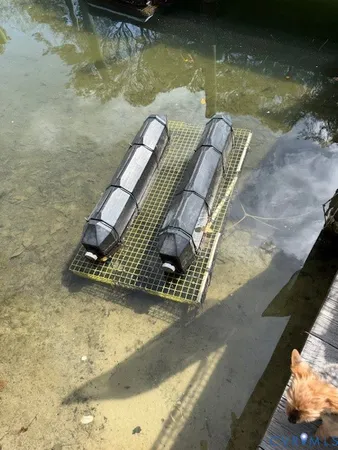 $569,900 | 193 Deep Water Lane, Reedville, VA 22539