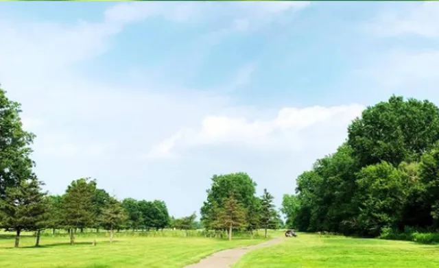 $2,990,000 | 20820 Inkster Road, Romulus, MI 48174