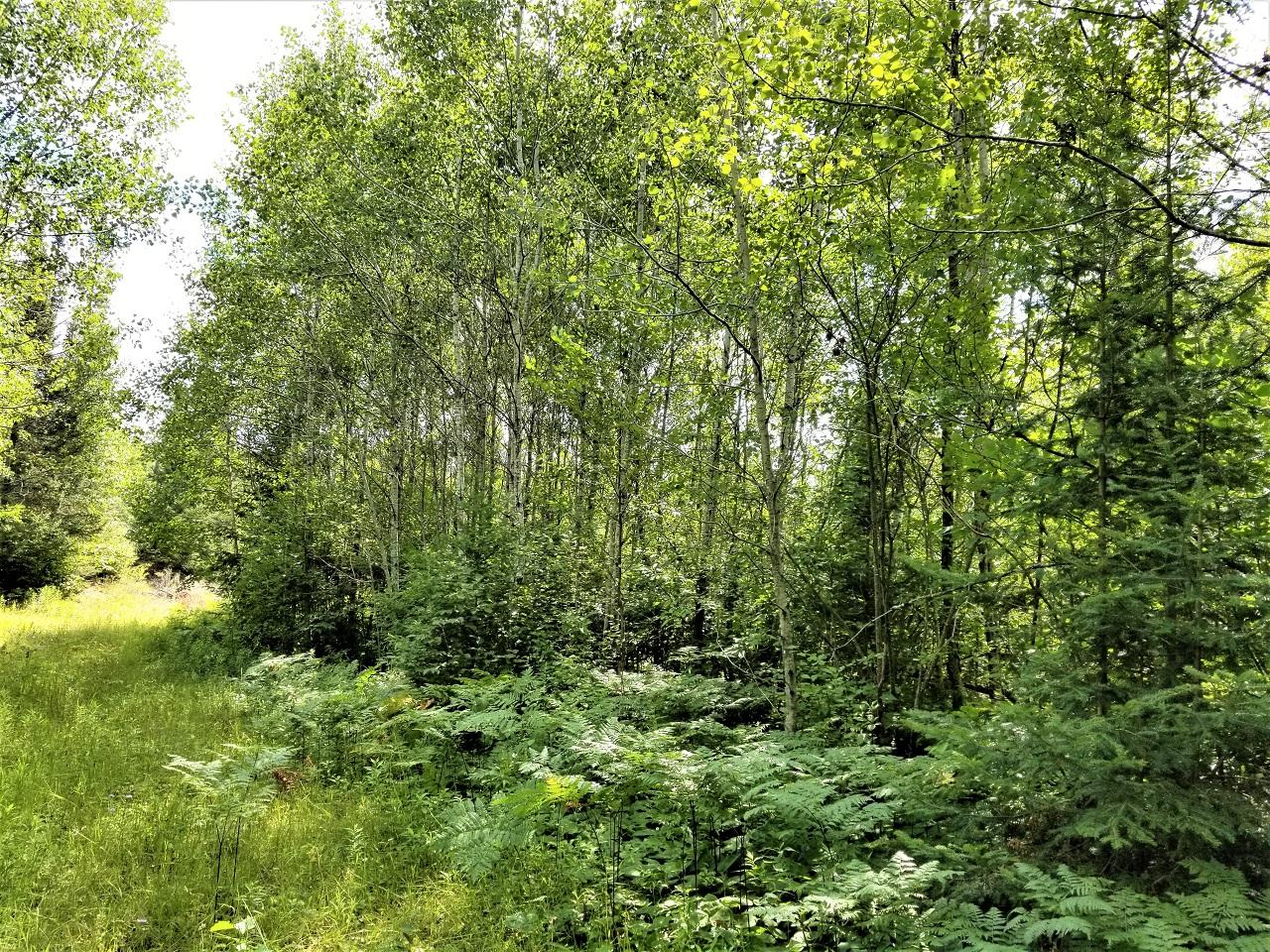 Lot 26 Three Ten Road Mercer, WI 54547 - Photo 17 of 24 Gallery Image 17