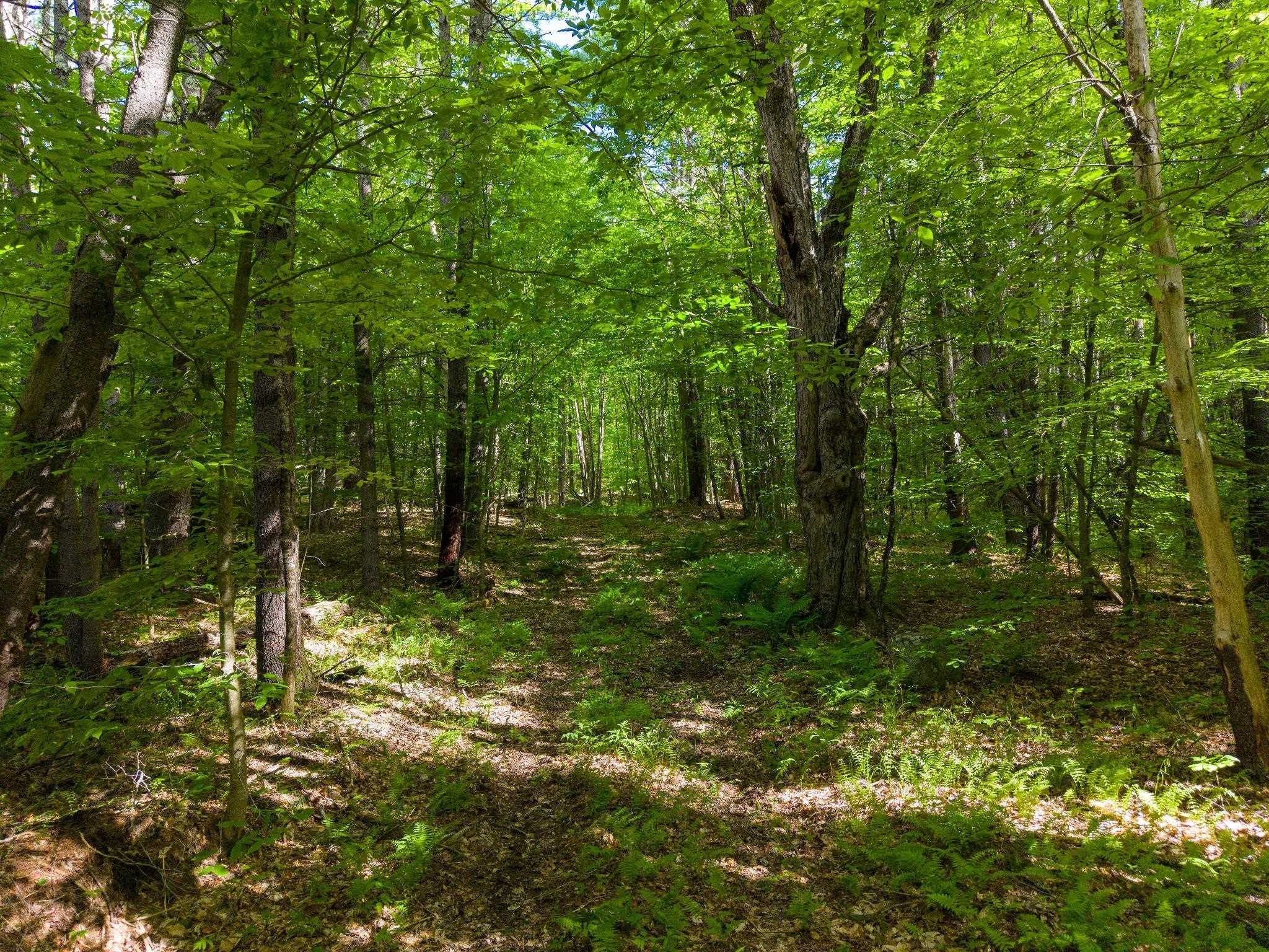 0 Tigertown Road White River Junction, VT 05001 - Photo 6 of 13