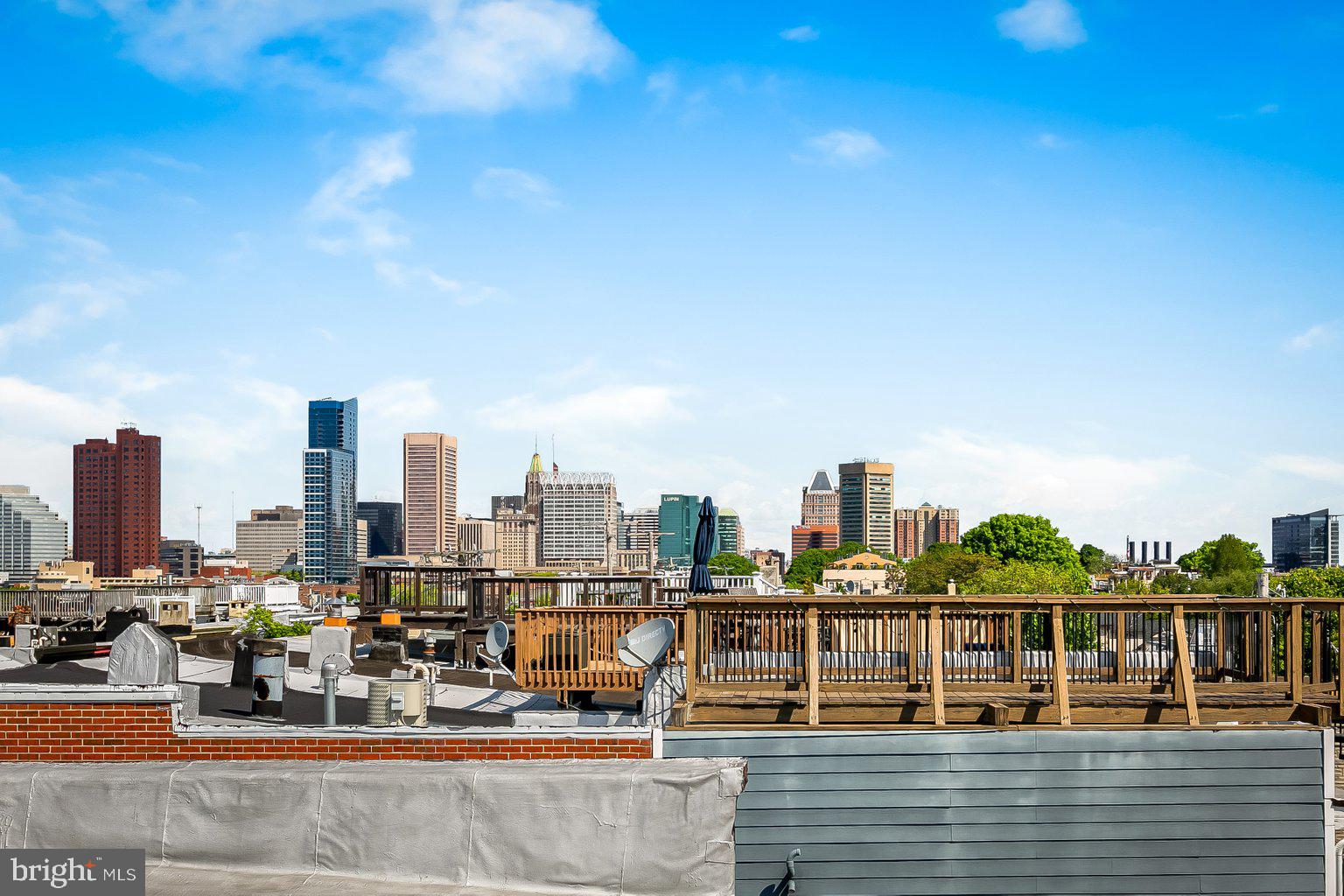 1243 Riverside Avenue Baltimore, MD 21230 - Photo 46 of 81 roof top deck city view