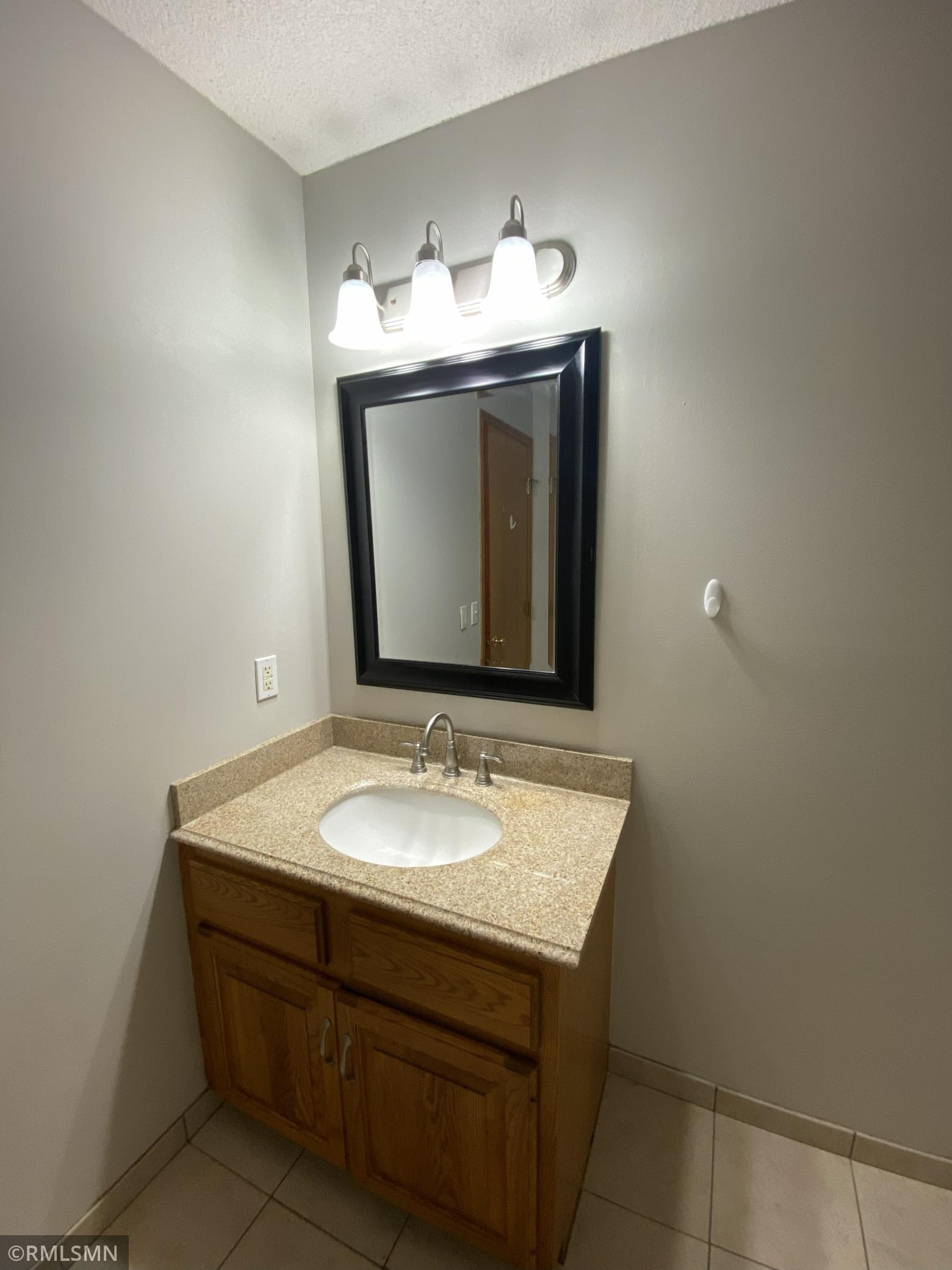 3572 Bailey Ridge Alcove Woodbury, MN 55125 - Photo 7 of 33