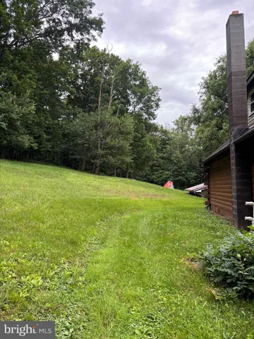 a green field with lots of bushes