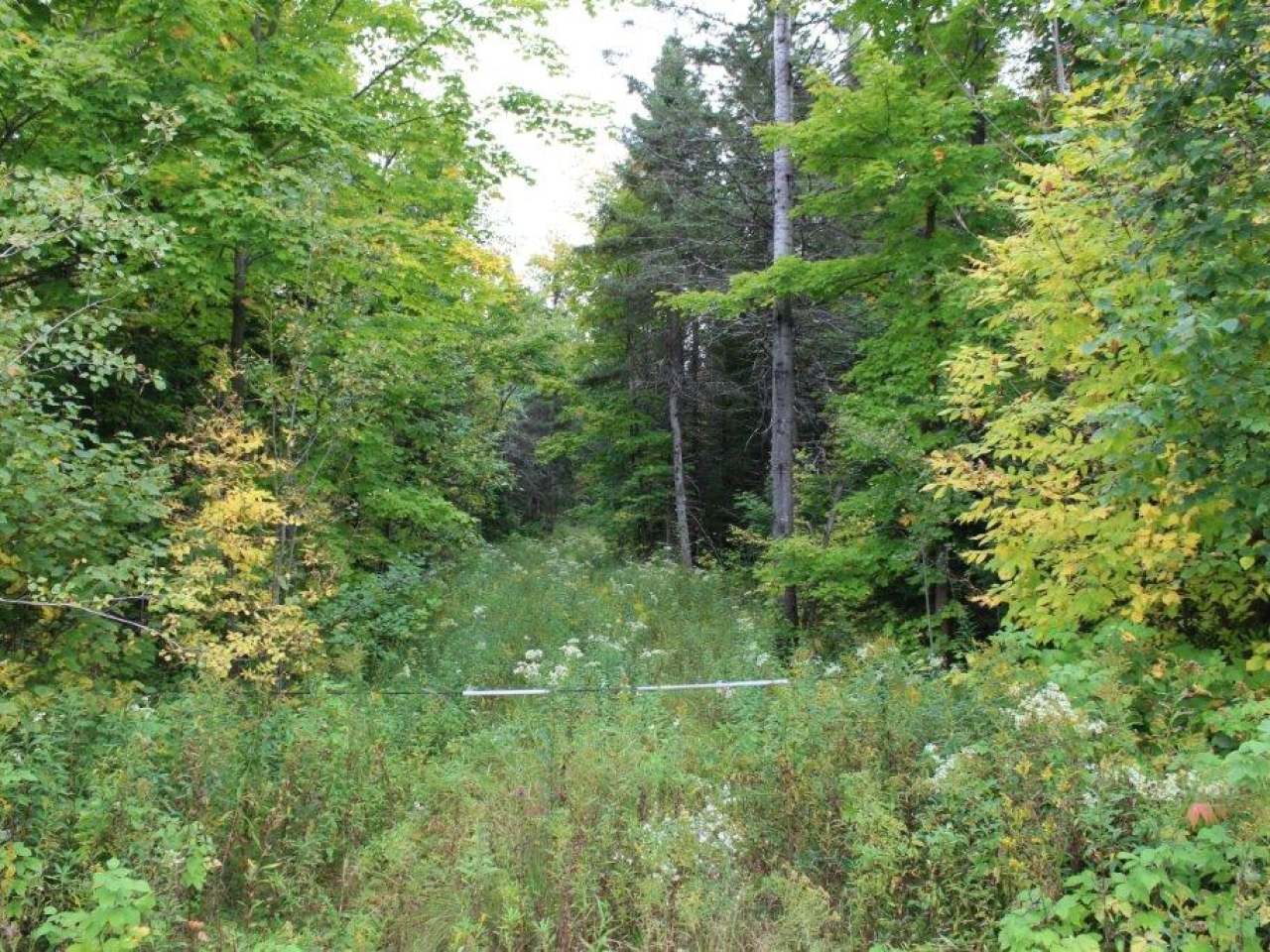 On Strong Road, Unit 39 ACS Phelps, WI 54554 - Photo 1 of 15 Gallery Image 1