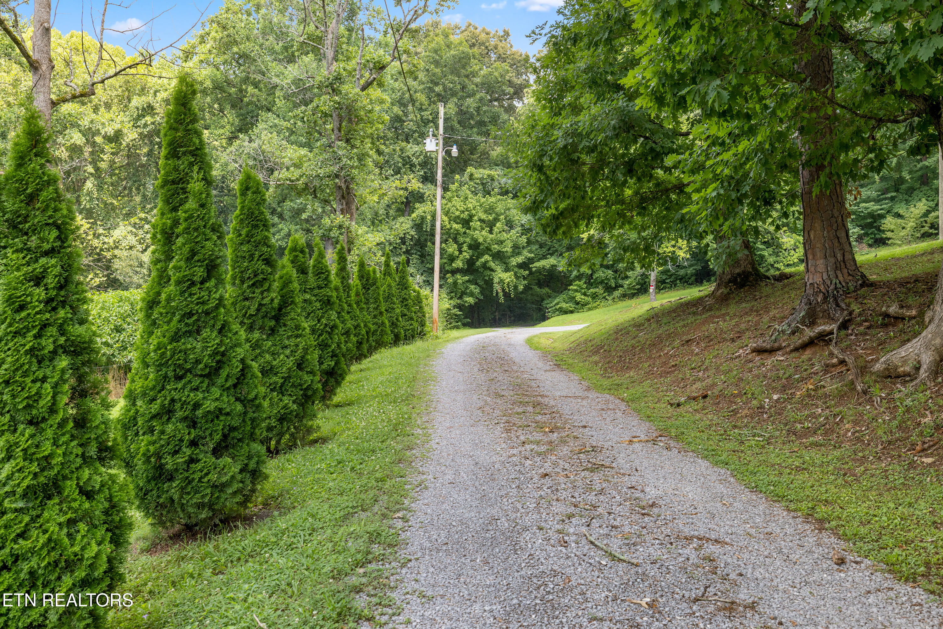 288 Mountain View Road Heiskell, TN 37754 - Photo 32 of 37 Positive Perceptions-32