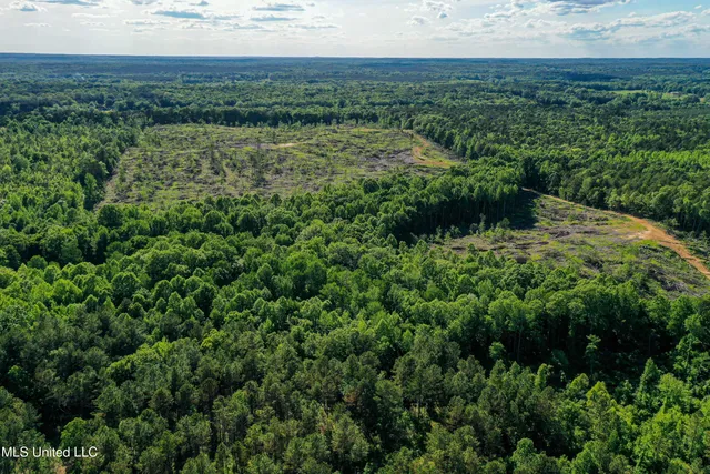 $250,429 | 1 County Road 433, Oxford, MS 38655