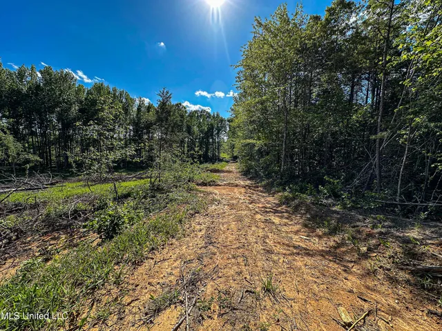 $250,429 | 1 County Road 433, Oxford, MS 38655