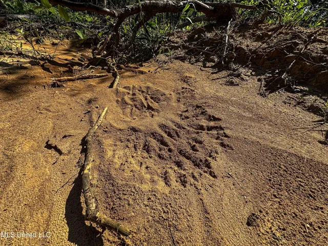 $250,429 | 1 County Road 433, Oxford, MS 38655