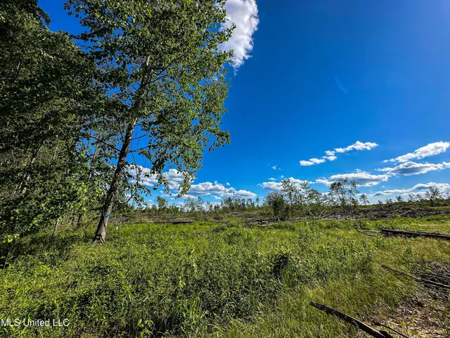 $250,429 | 1 County Road 433, Oxford, MS 38655