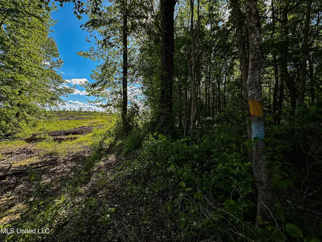 $250,429 | 1 County Road 433, Oxford, MS 38655