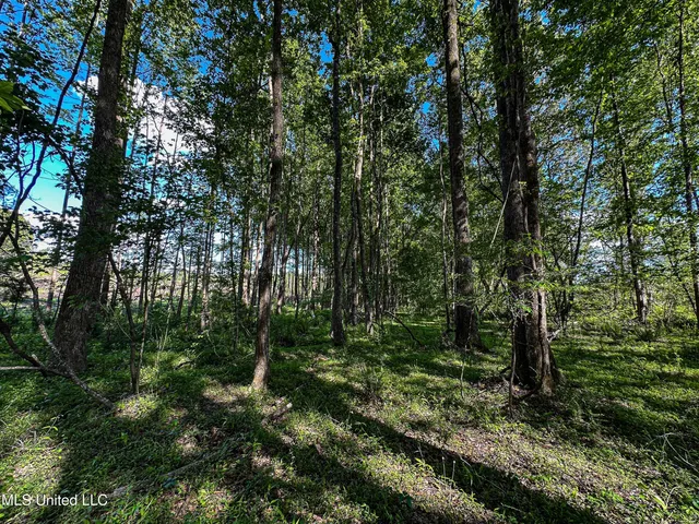 $250,429 | 1 County Road 433, Oxford, MS 38655