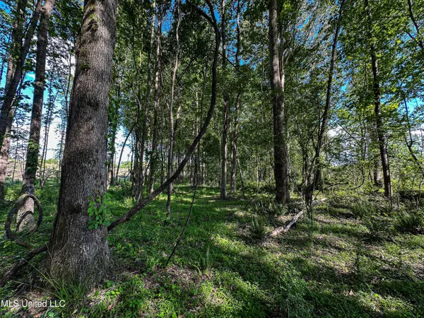 $246,453 | 1 County Road 433, Oxford, MS 38655