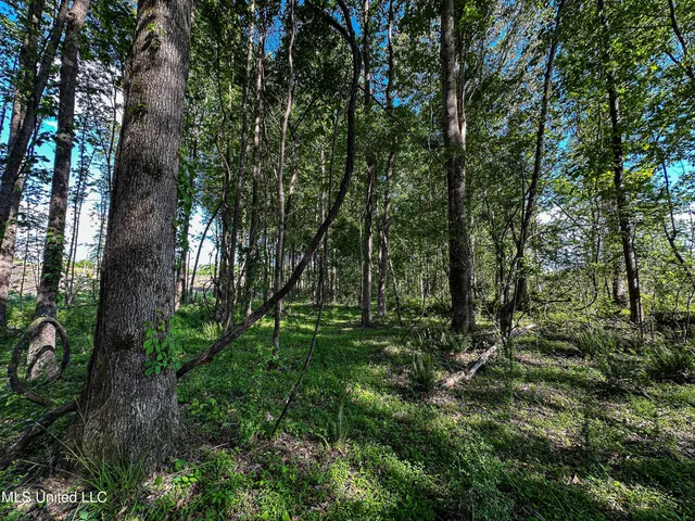 $250,429 | 1 County Road 433, Oxford, MS 38655