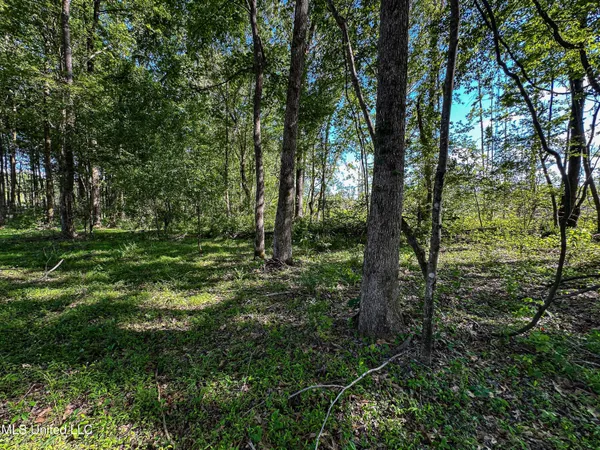$246,453 | 1 County Road 433, Oxford, MS 38655