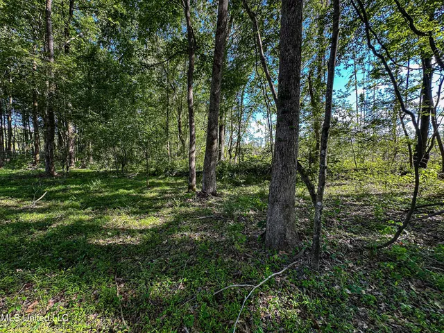 $250,429 | 1 County Road 433, Oxford, MS 38655