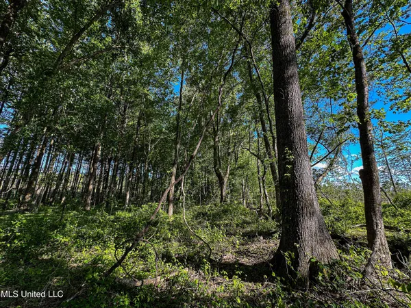 $246,453 | 1 County Road 433, Oxford, MS 38655