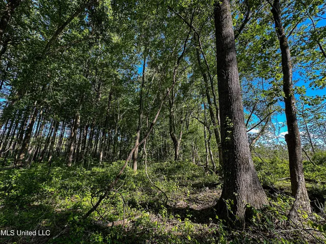 $250,429 | 1 County Road 433, Oxford, MS 38655