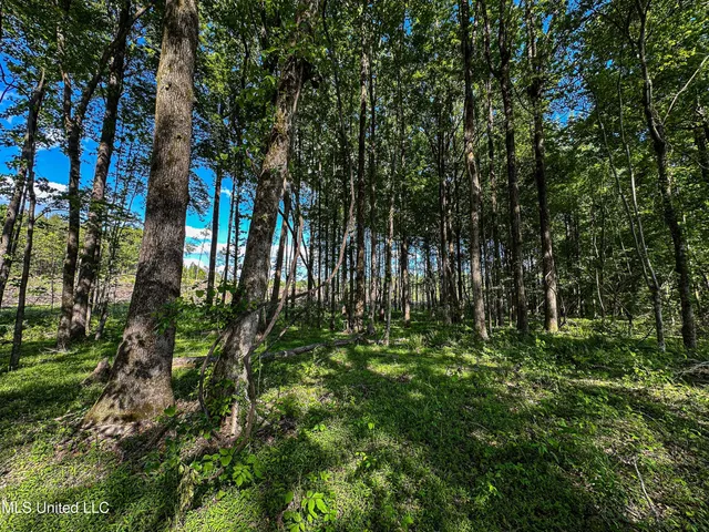 $250,429 | 1 County Road 433, Oxford, MS 38655