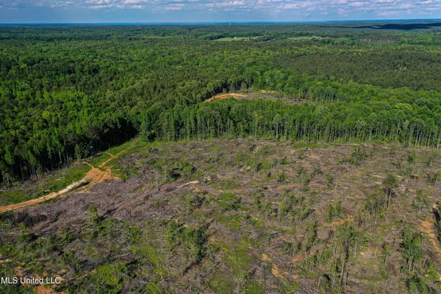 $250,429 | 1 County Road 433, Oxford, MS 38655