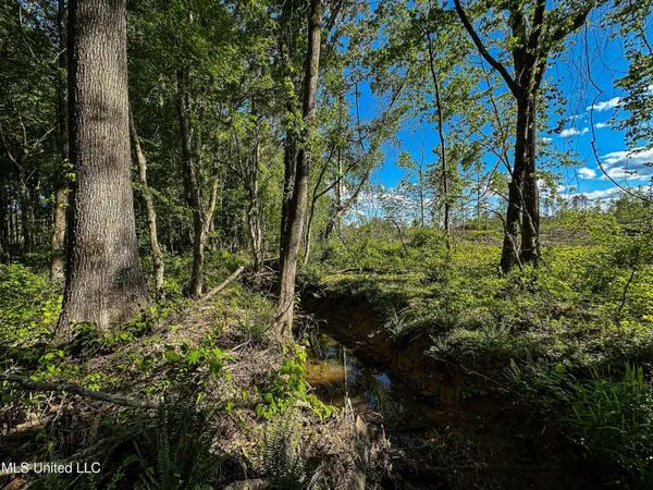 $246,453 | 1 County Road 433, Oxford, MS 38655