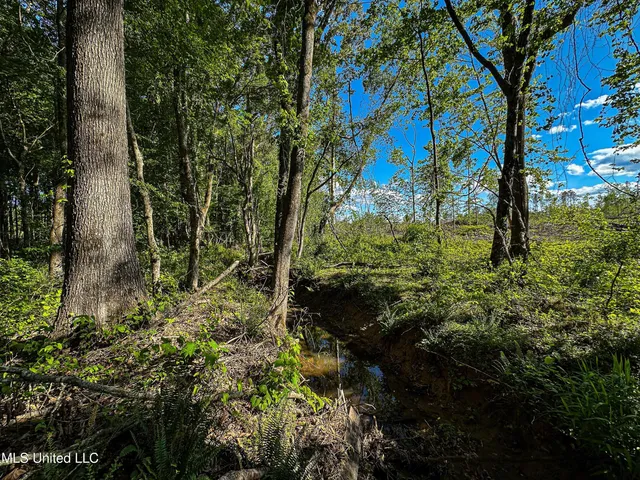 $250,429 | 1 County Road 433, Oxford, MS 38655