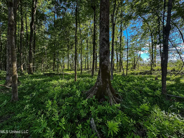 $250,429 | 1 County Road 433, Oxford, MS 38655