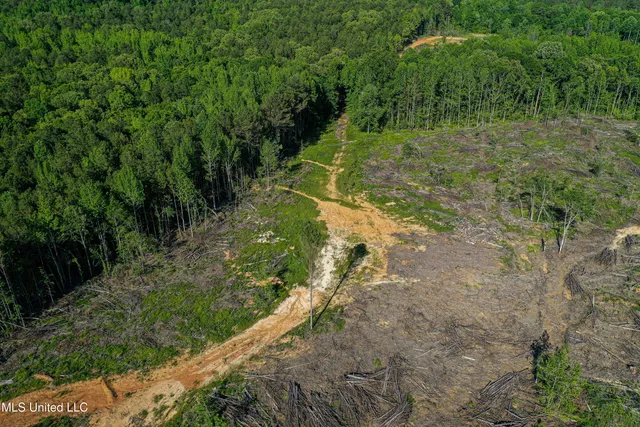 $250,429 | 1 County Road 433, Oxford, MS 38655