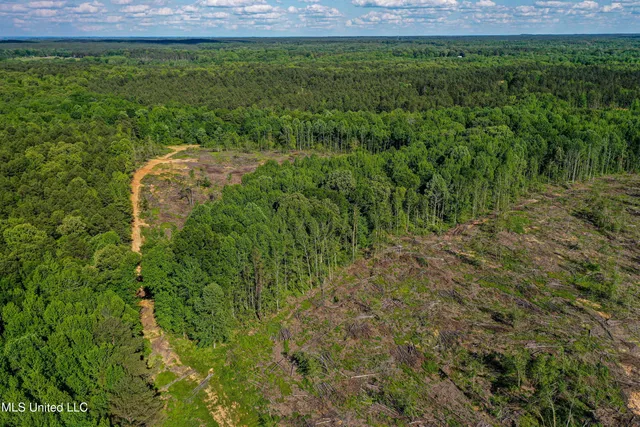 $250,429 | 1 County Road 433, Oxford, MS 38655