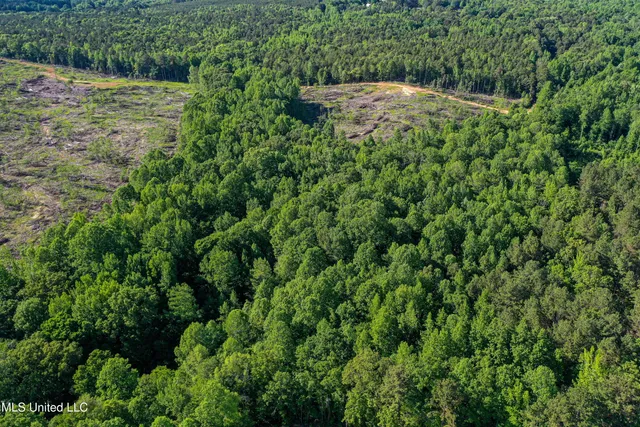 $250,429 | 1 County Road 433, Oxford, MS 38655