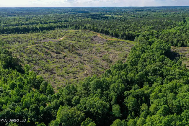 $250,429 | 1 County Road 433, Oxford, MS 38655