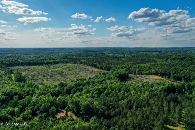 $250,429 | 1 County Road 433, Oxford, MS 38655